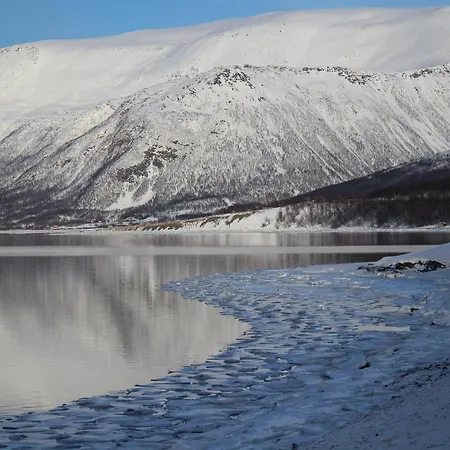 Kemp Sandnes Fjord Camping *